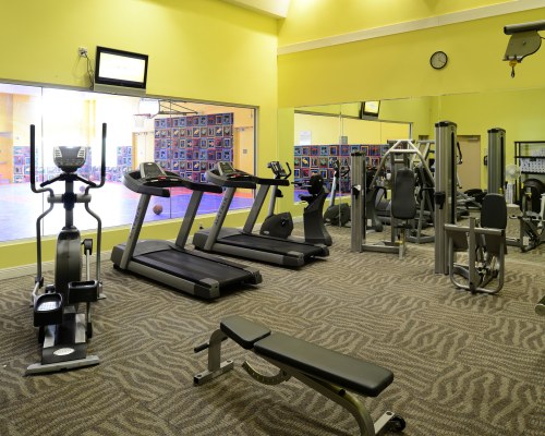 Palm Canyon, a Hilton Vacation Club